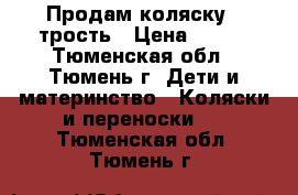 Продам коляску - трость › Цена ­ 500 - Тюменская обл., Тюмень г. Дети и материнство » Коляски и переноски   . Тюменская обл.,Тюмень г.